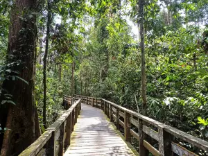 Sepilok Orangutan Rehabilitation Centre