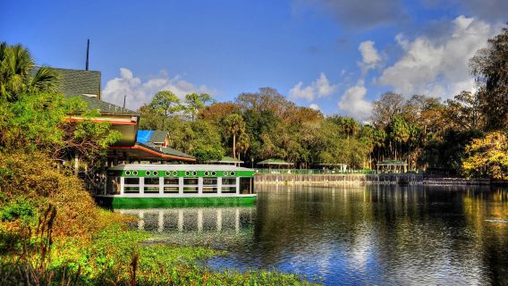 Silver Springs