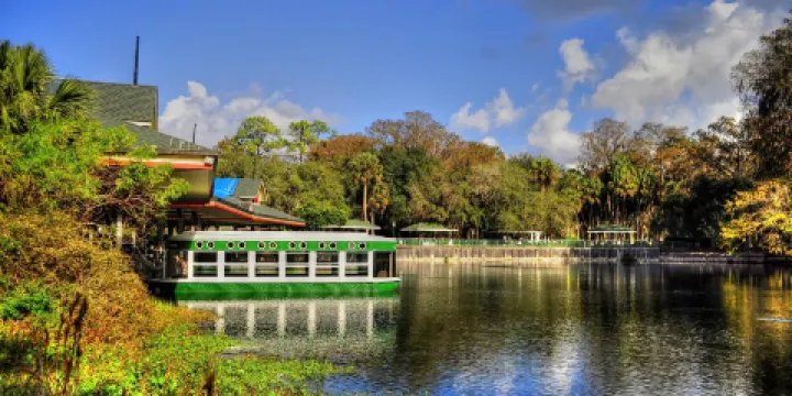 Silver Springs River