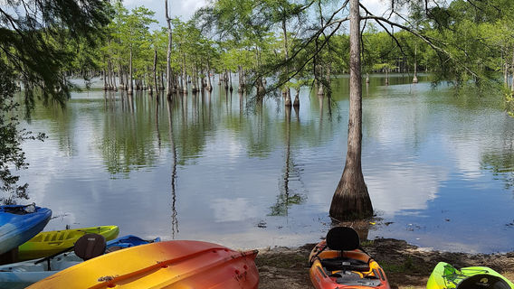 George L. Smith State Park