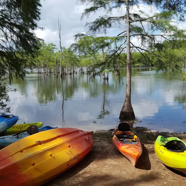 Hotels in Emanuel County