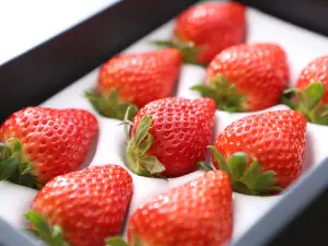Mimasaka Farm Orchards
