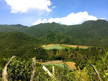 拉維加