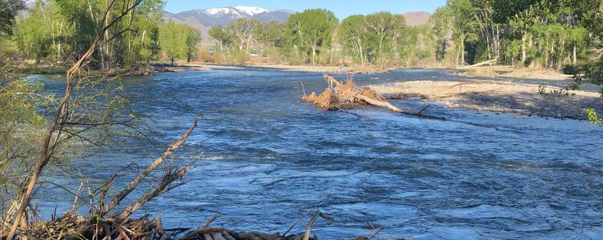 Challis Hot Springs
