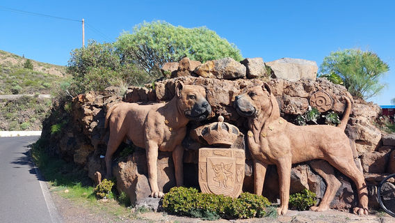 Bike Point Tenerife - Las Americas