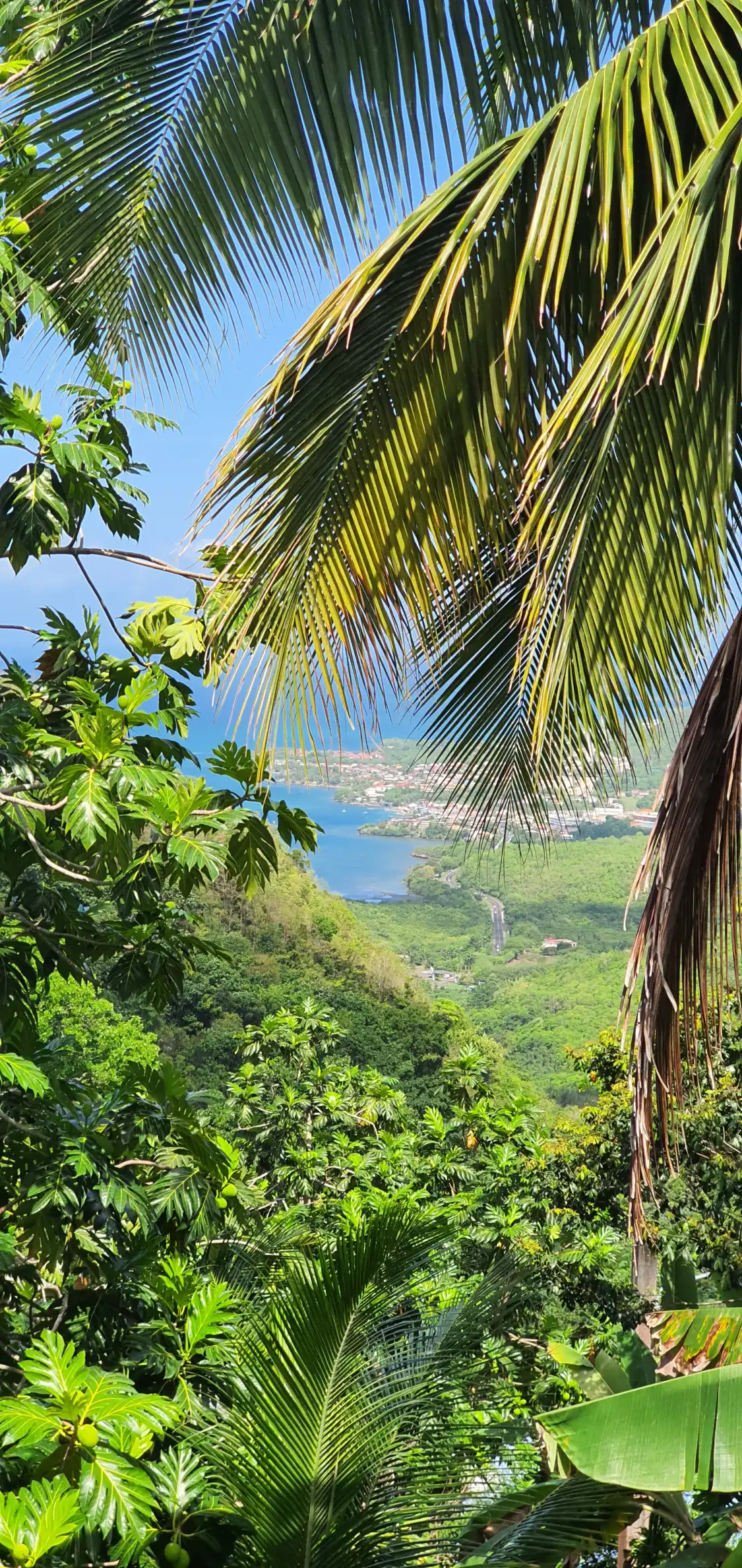 Hotels near Le Morne Gommier