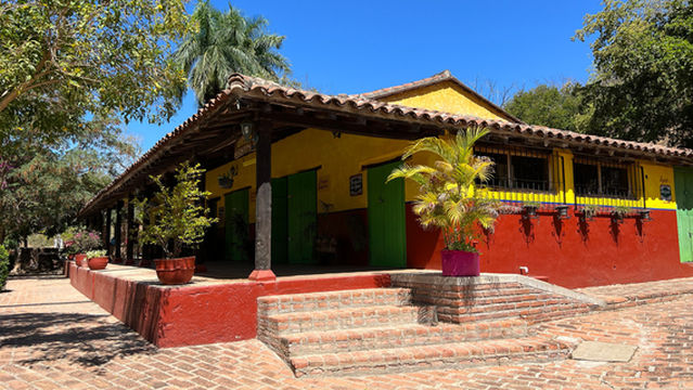 Los Osuna Blue Agave Tour