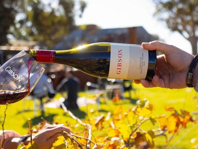 Gibson Wines
