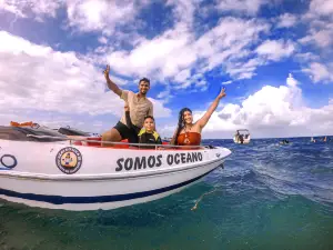 Parrachos de Rio do Fogo