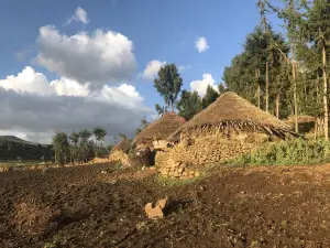 Lalibela World Cultural Centre