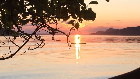 Montague Harbour Marine Provincial Park