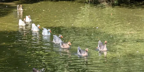 Stoneywish Nature Reserve and Camp Site