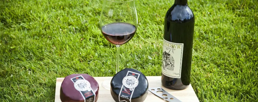 Glyndŵr Vineyard