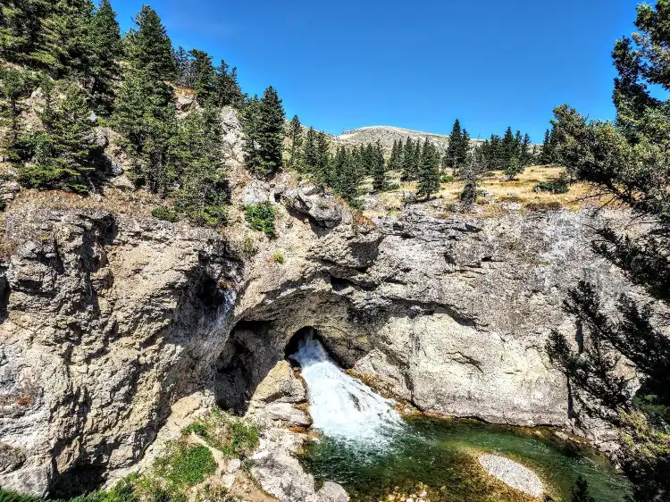 Hotels in Livingston