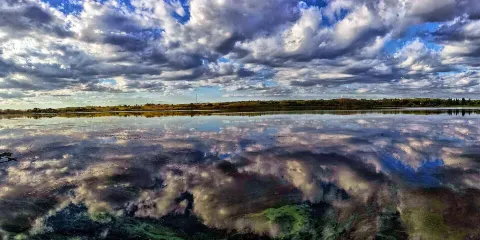 Bud Miller All Seasons Park