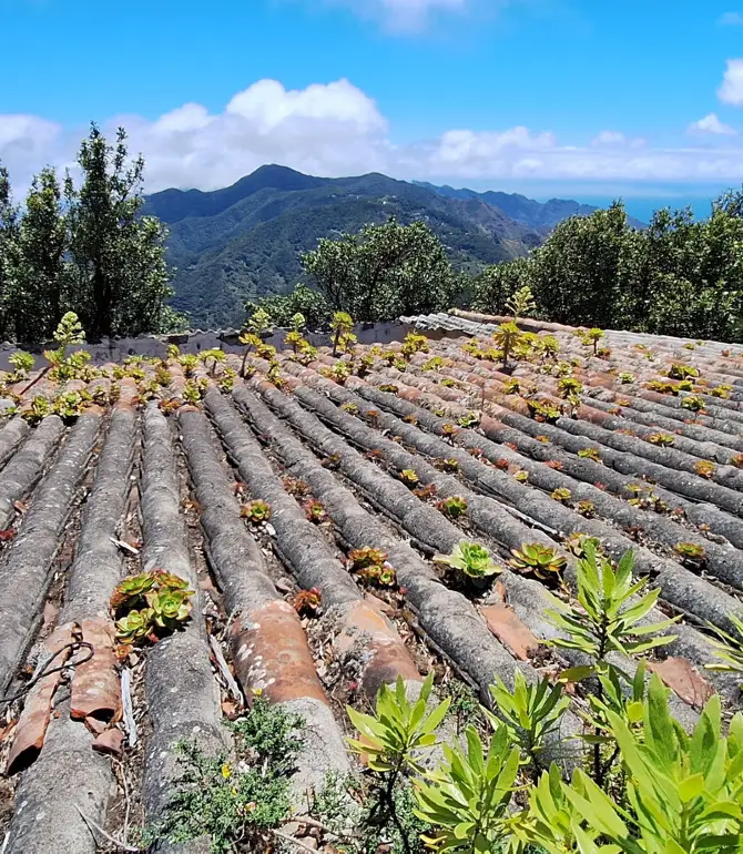 Las Mercedes