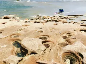River to Sea Preserve