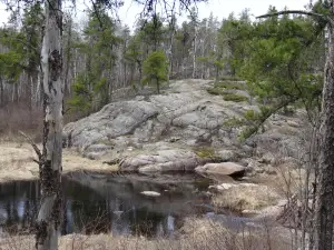 McGillivray Falls Self-guiding Trail