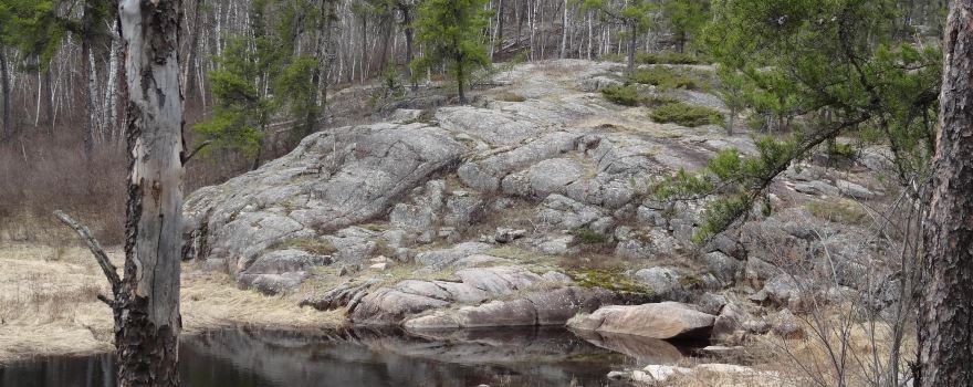 McGillivray Falls Self-guiding Trail