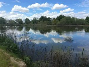 San Joaquin River National Wildlife Refuge