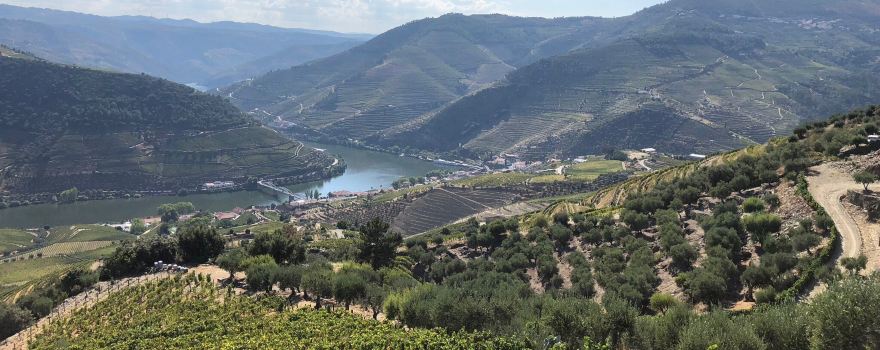 Quinta do Jalloto - Family vineyards
