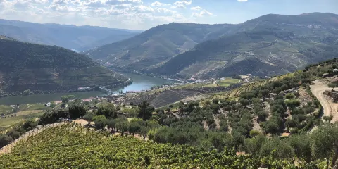 Quinta do Jalloto