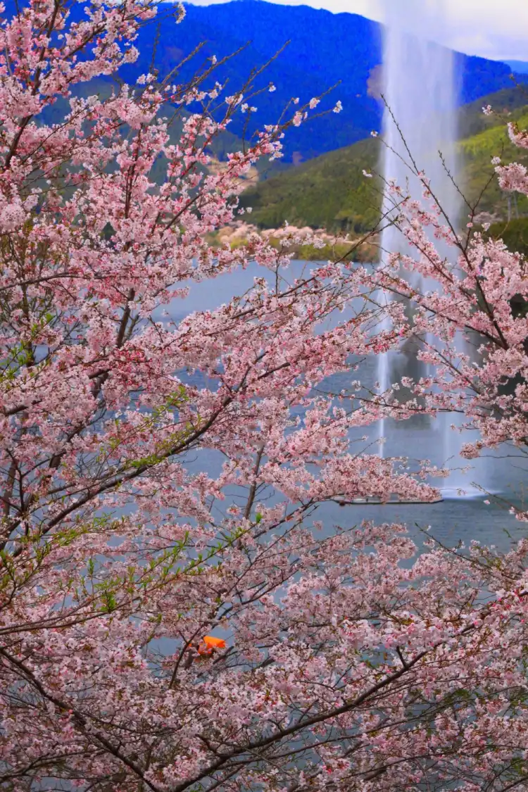 Hotels in Kuma District