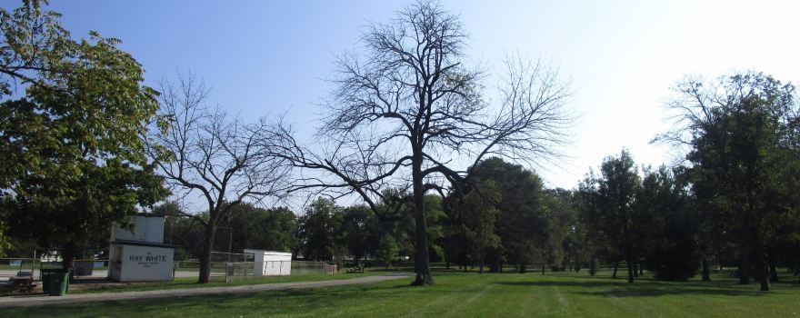 Baker Park