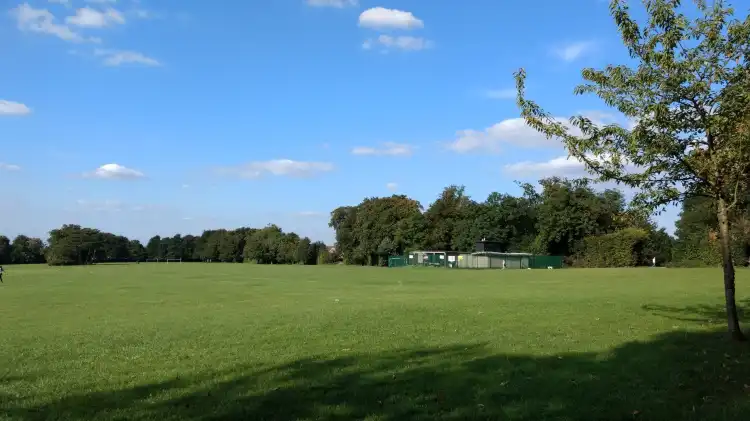 Orpington