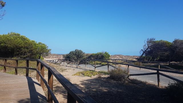 Playa El Rebollo