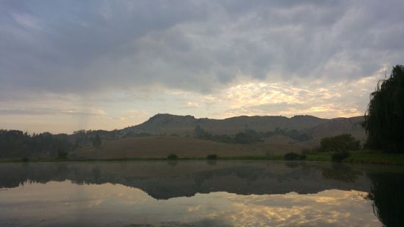 Sterkfontein DMA