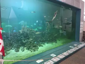 Nordsø Akvariet