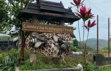 DMA Gombizau Honey Bee Farm