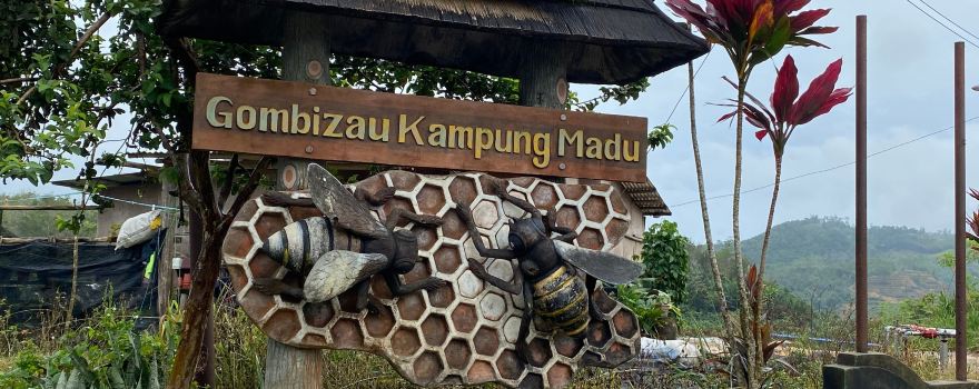 DMA Gombizau Honey Bee Farm