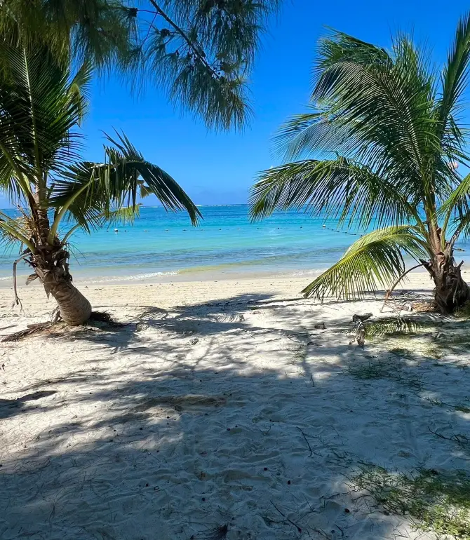 Quatre Cocos
