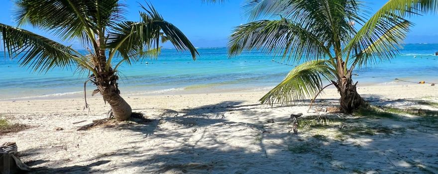 Quatre Cocos