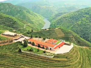 Bodegas Regina Viarum