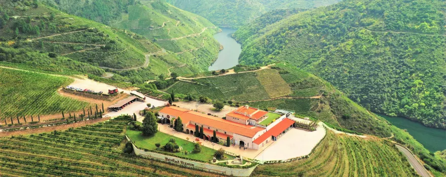 Bodegas Regina Viarum
