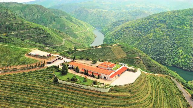 Bodegas Regina Viarum
