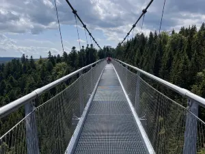 WildLine Hangebrucke