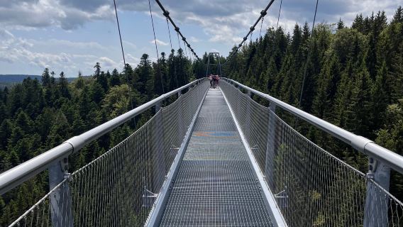 WildLine Hangebrucke