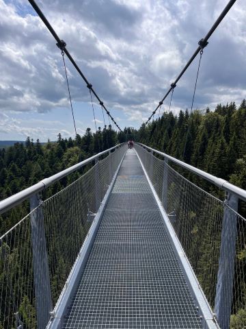 WildLine Hangebrucke