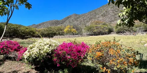 Galo De Allende Goat Farm