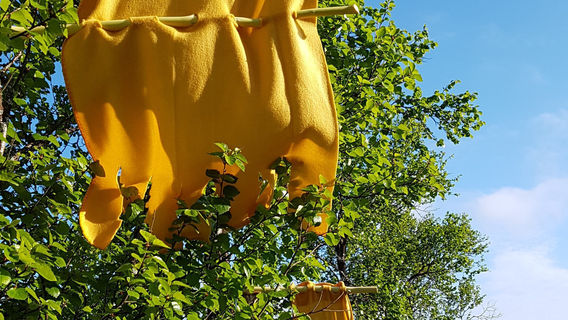 Tønsviking Middelaldertun