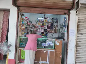 Kaisarganj