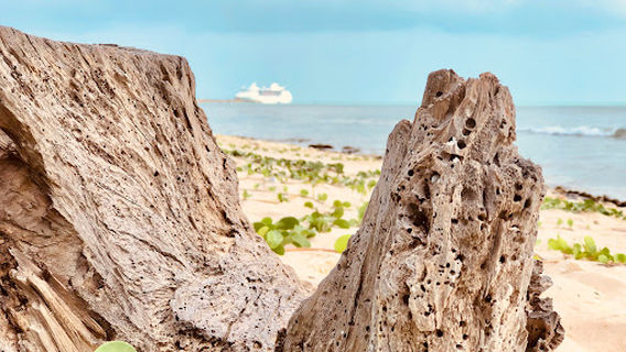 KKS Beach - Jaffna