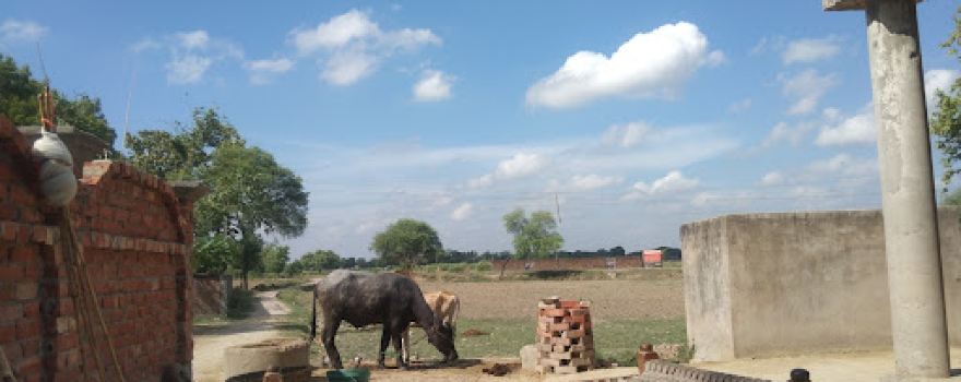 Nageshwar temple