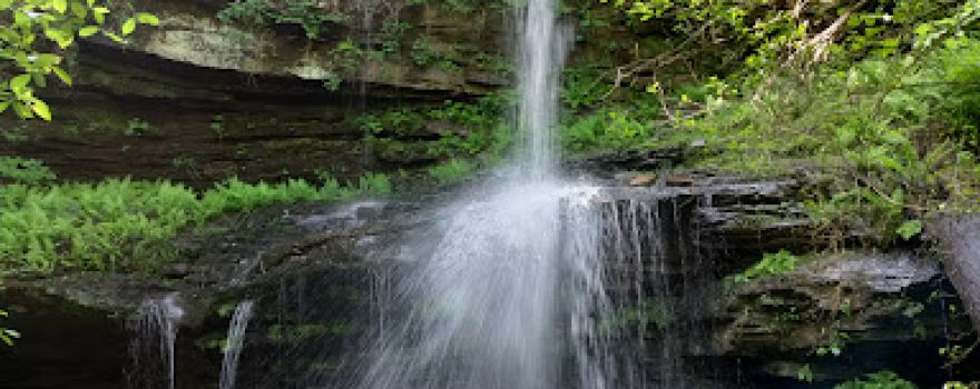 Fern Falls