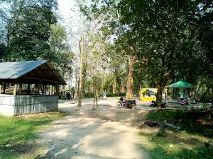 Singra National Park Bridge