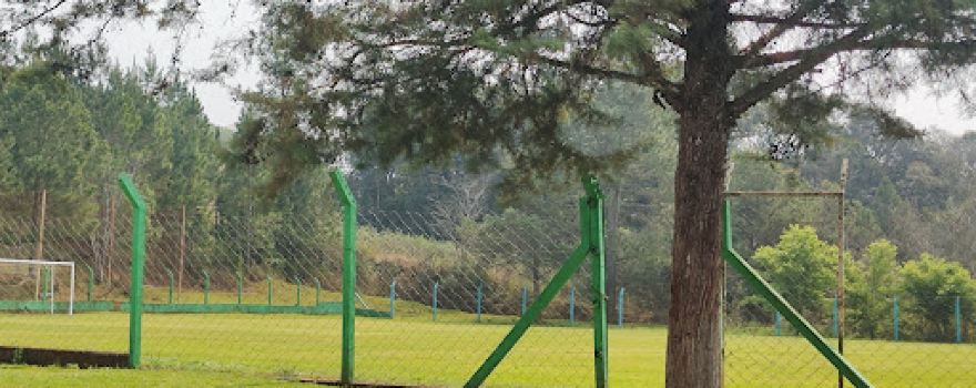 Campo Futebol Gramados